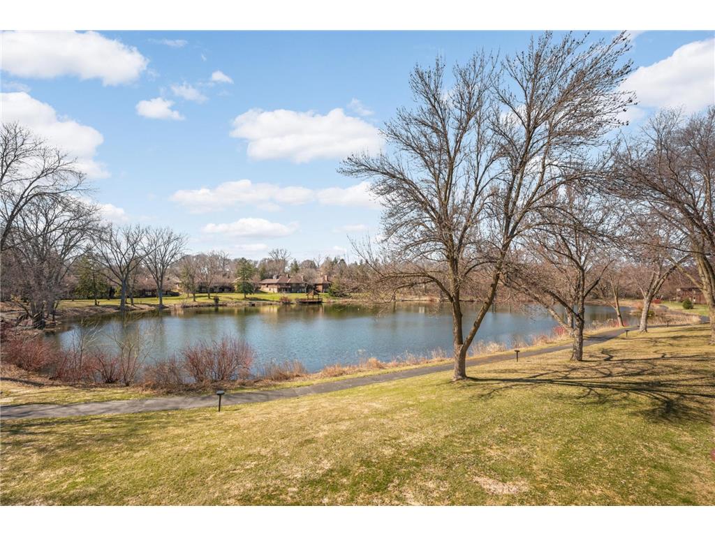 7798 Lochmere Terrace Edina MN 55439 7047542 image2