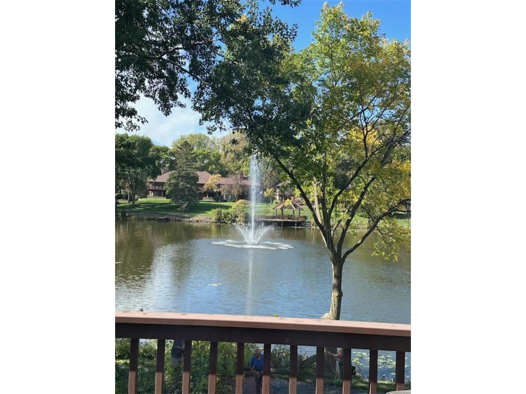 7798 Lochmere Terrace Edina MN 55439 7047542 image4