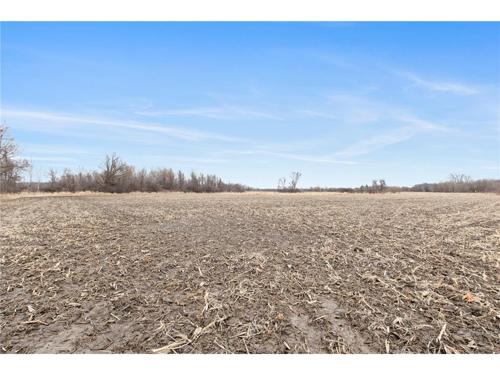 77XX 381st Avenue NW Dalbo MN 55017 6689929 image1