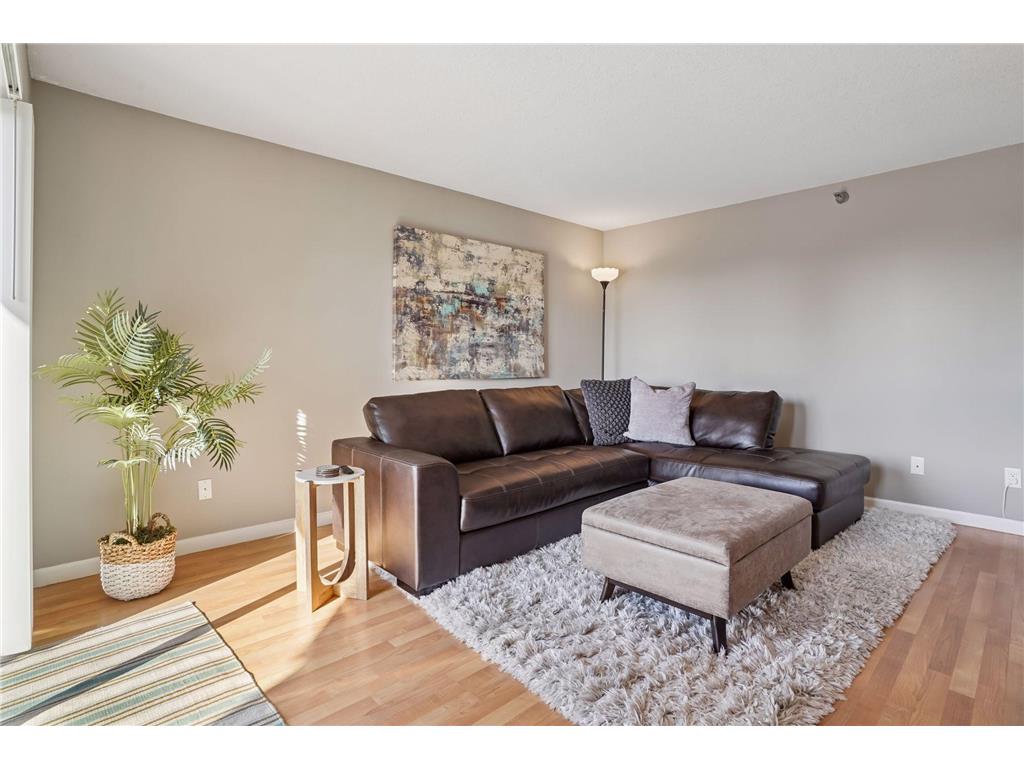 78 10th Street E #1010 Saint Paul MN 55101 7067359 image11