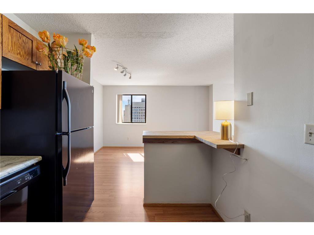 78 10th Street E #2902 Saint Paul MN 55101 6762311 image15