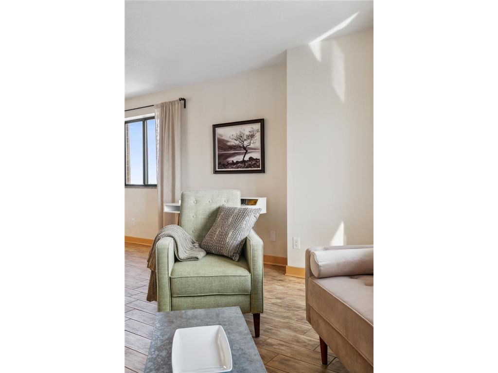 78 10th Street E #3309 Saint Paul MN 55101 6743062 image10