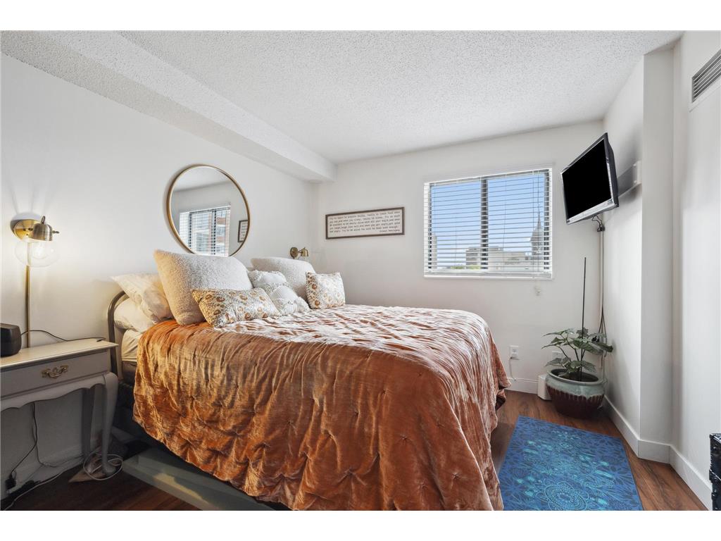 78 10th Street E #506 Saint Paul MN 55101 7081850 image34