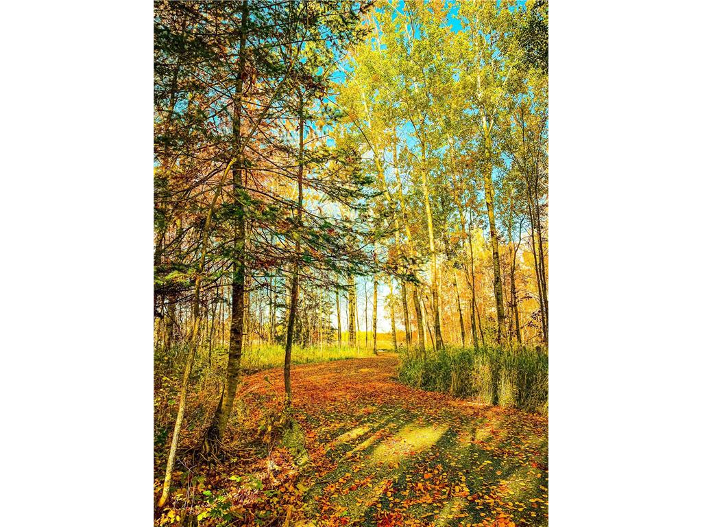780 County Road 89 South Koochiching Unorg. Terr. MN 56623 6589507 image1