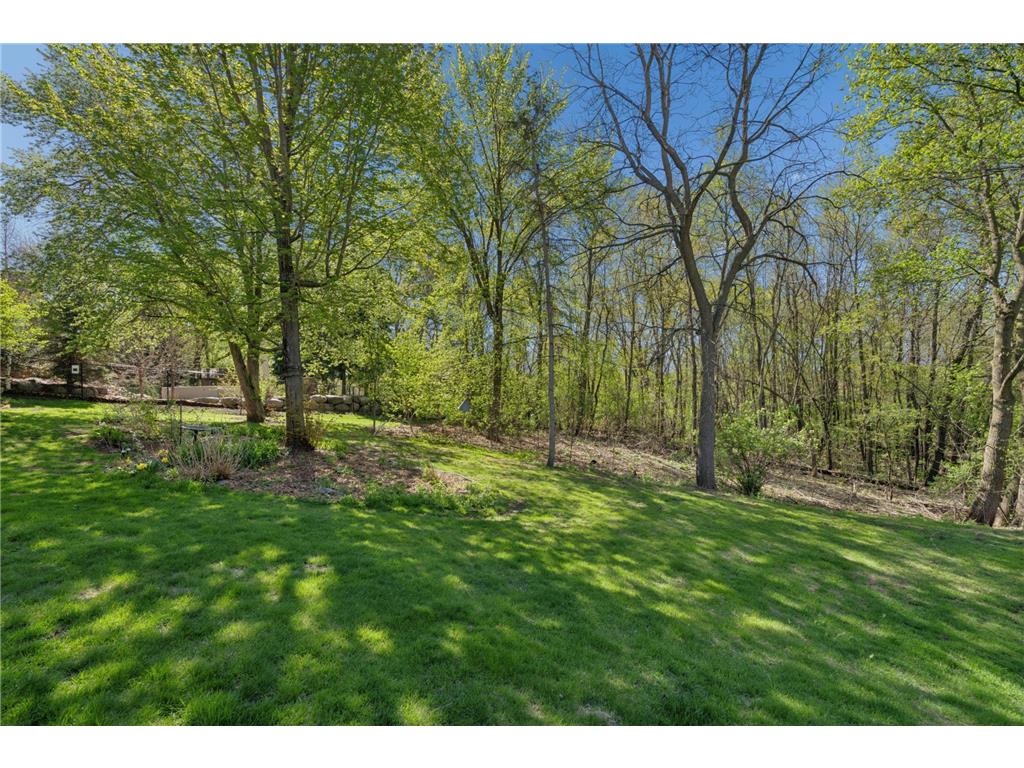 782 Evergreen Knolls Mendota Heights MN 55118 7033115 image38