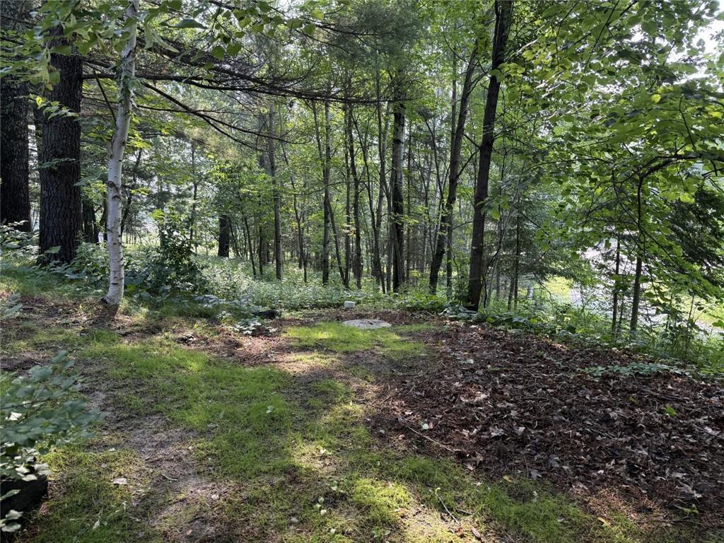 7821 County 12 NW Akeley MN 56433 7022514 image52