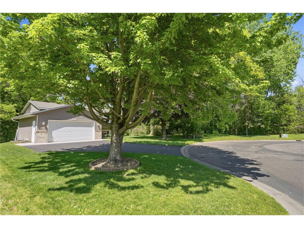 783 Bur Oak Court Vadnais Heights MN 55127 6745973 image39