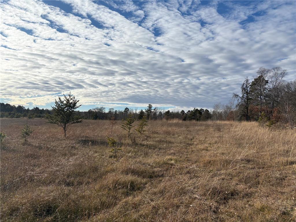 7839 Birchmont Beach Road NE Bemidji MN 56601 6819681 image1