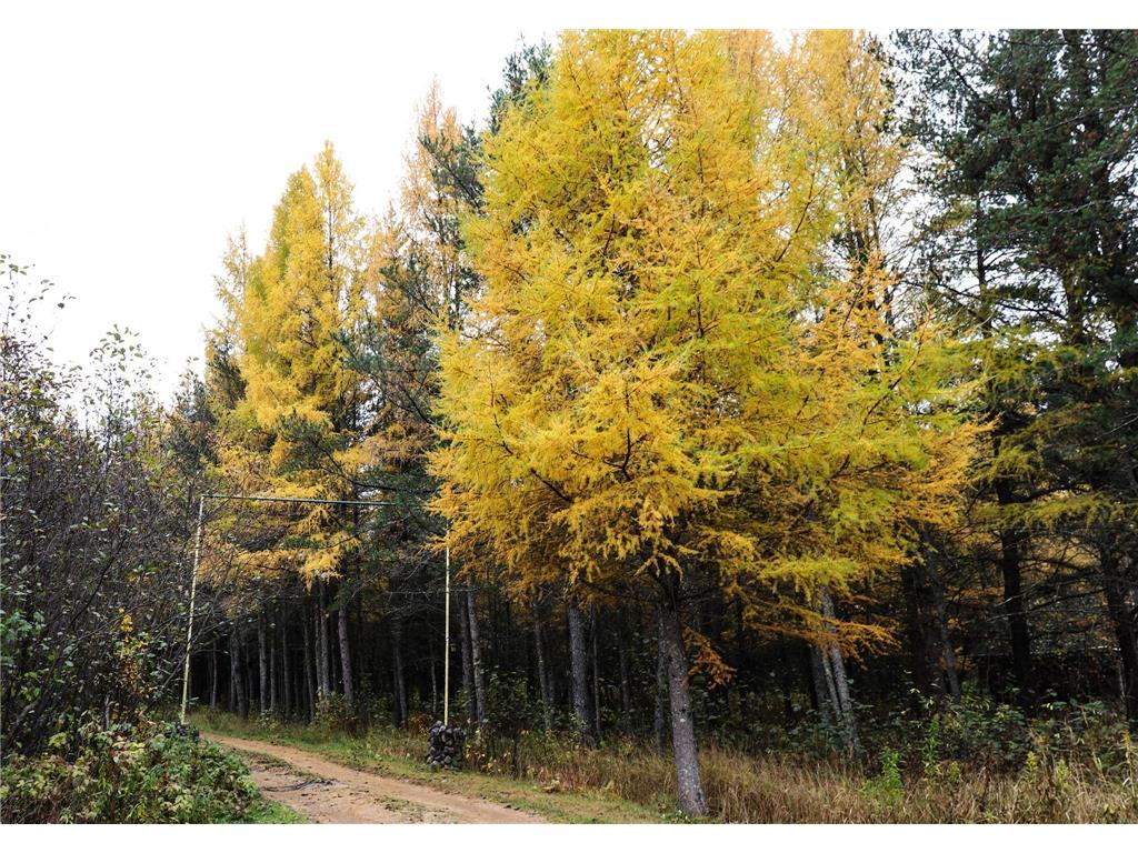 7839 Stromberg Road Waasa Twp MN 55732 6810727 image2