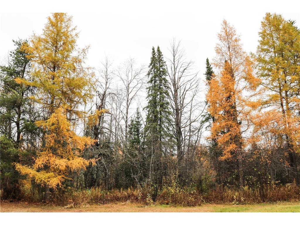 7839 Stromberg Road Waasa Twp MN 55732 6810727 image7