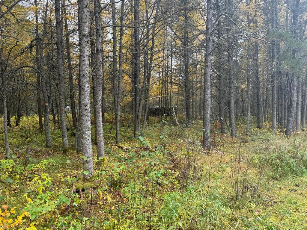 7839 Stromberg Road Waasa Twp MN 55732 7033897 image7