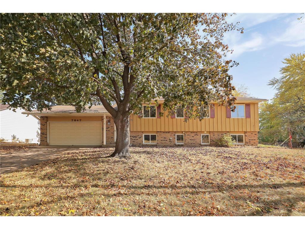 7847 Ivystone Avenue S Cottage Grove MN 55016 6619792 image1