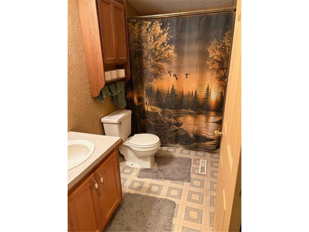 7869 Lunar Lane Ideal Twp MN 56472 - Clear Lake 7061910 image20