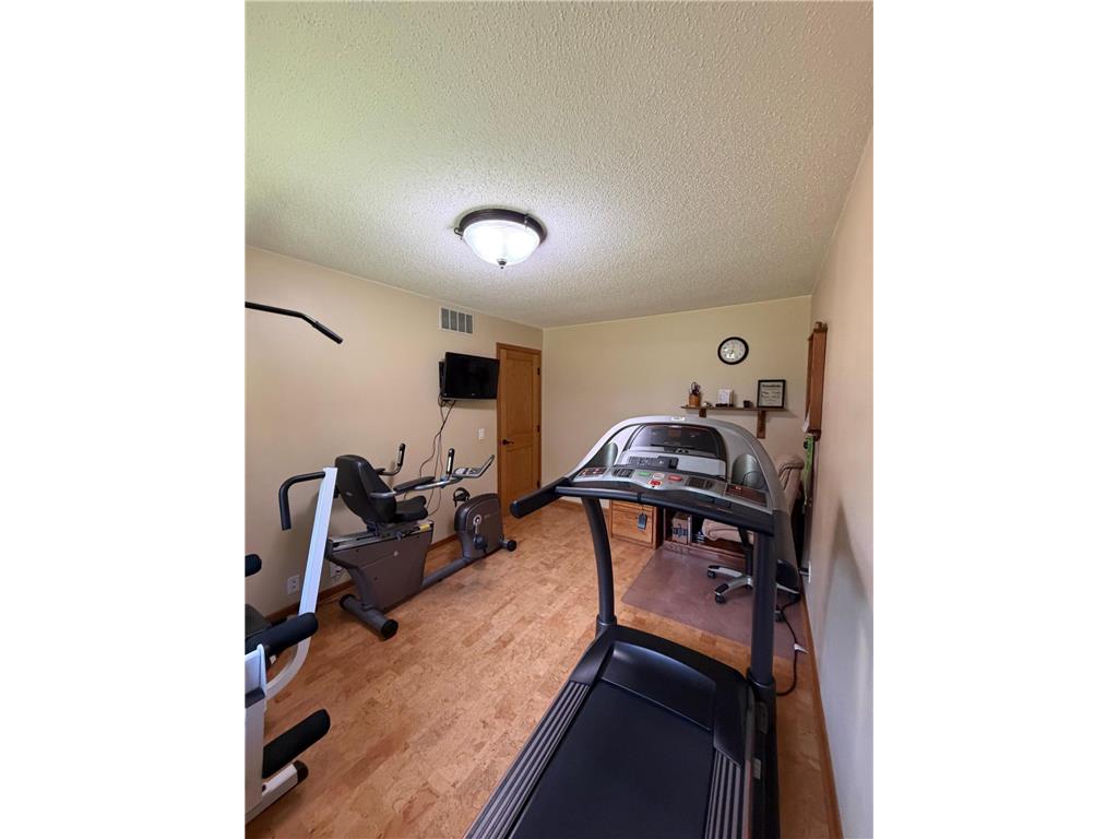 78772 290th Street Riverdale Twp MN 56062 7086106 image12