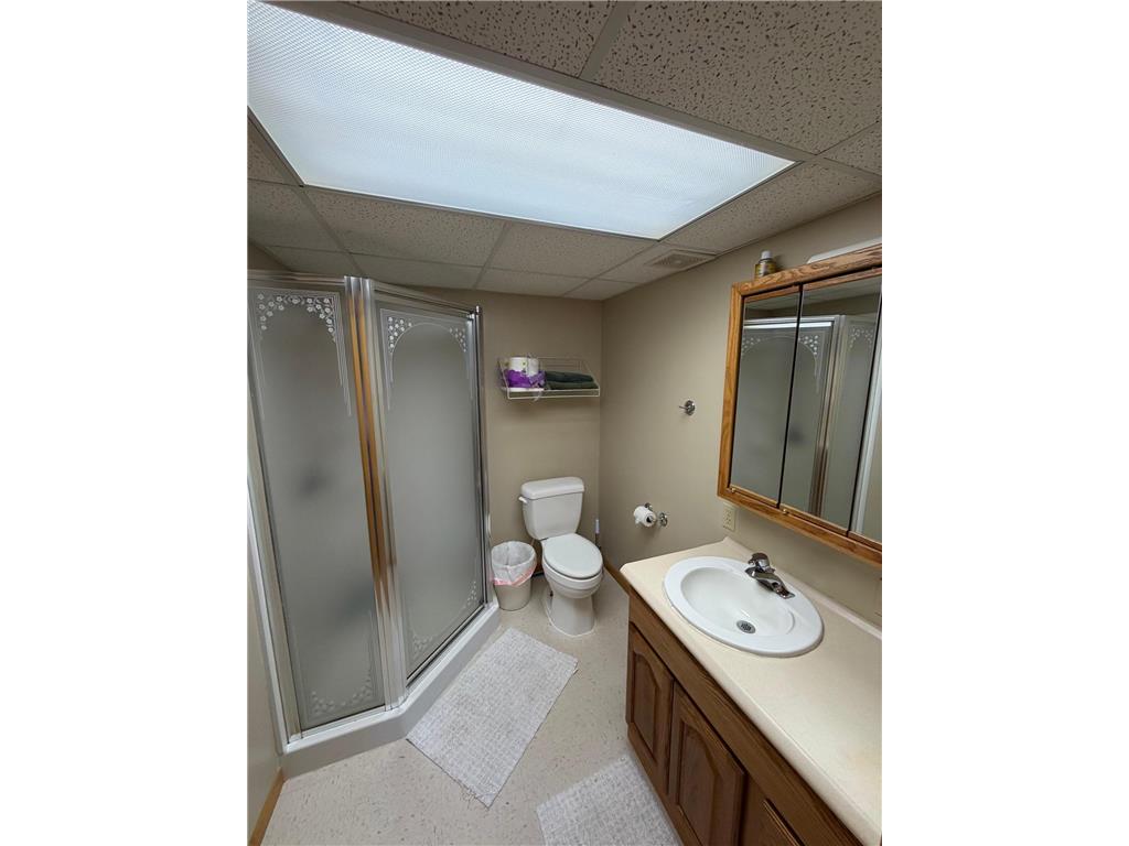 78772 290th Street Riverdale Twp MN 56062 7086106 image22