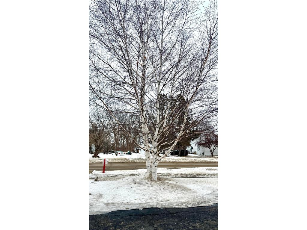 788 4th Street Audubon MN 56511 7019100 image34