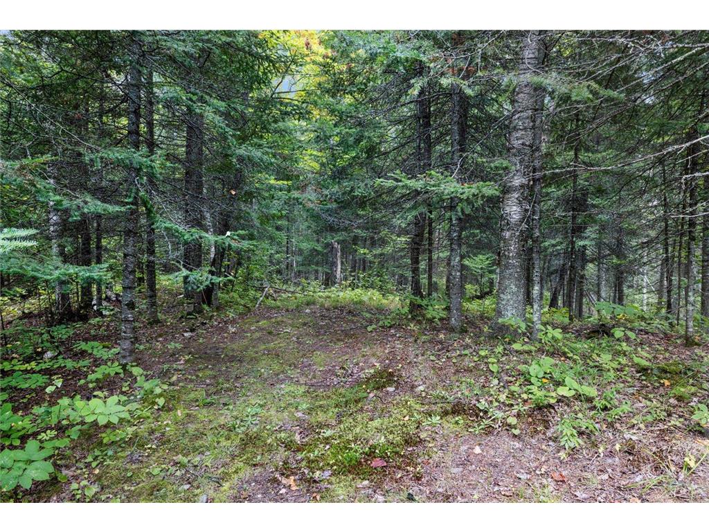 7885 Lake Fourteen Road Britt MN 55710 6779455 image38