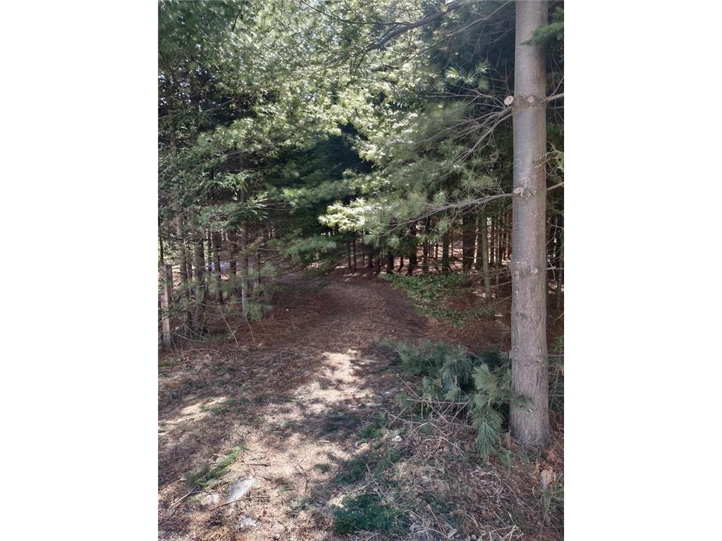 789 29 1/2 Avenue Barronett WI 54813 6686159 image17