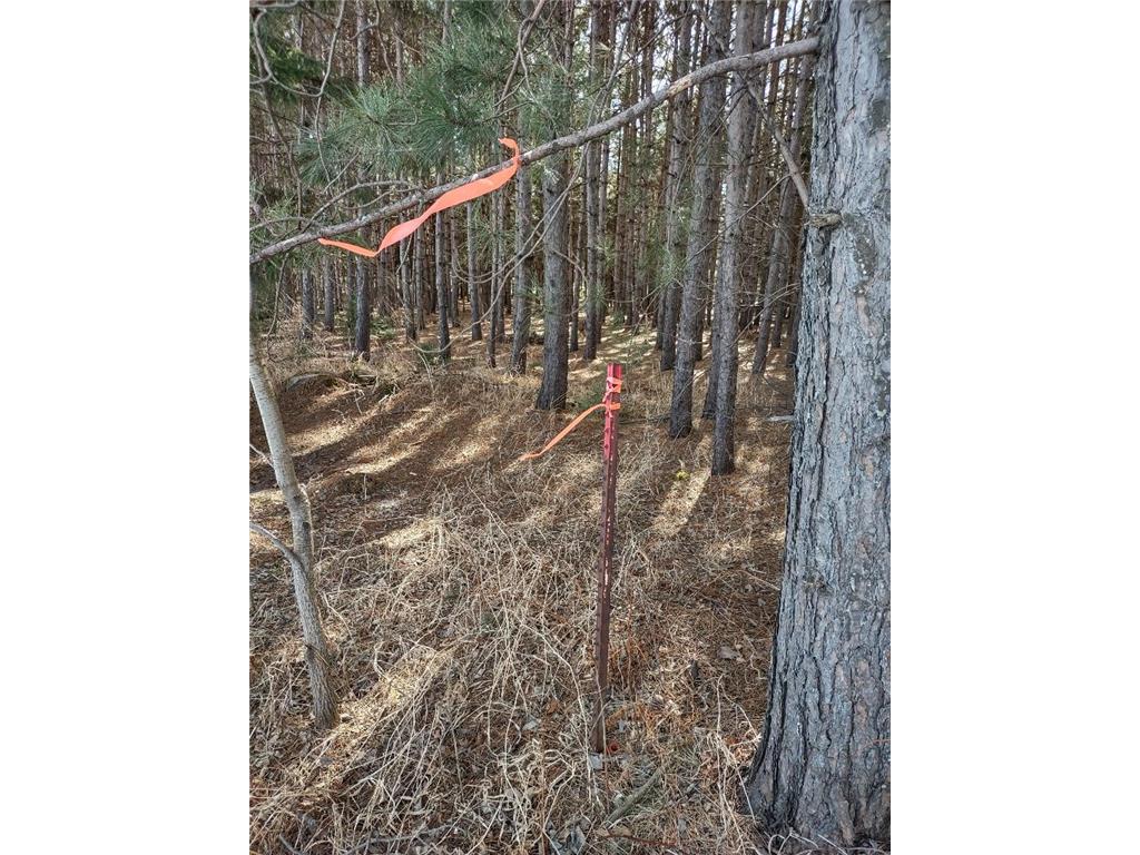 789 29 1/2 Avenue Barronett WI 54813 6686159 image18