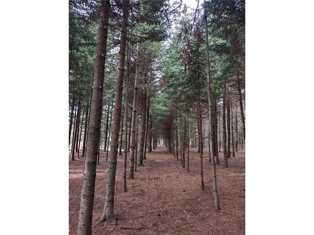 789 29 1/2 Avenue Barronett WI 54813 6686159 image21