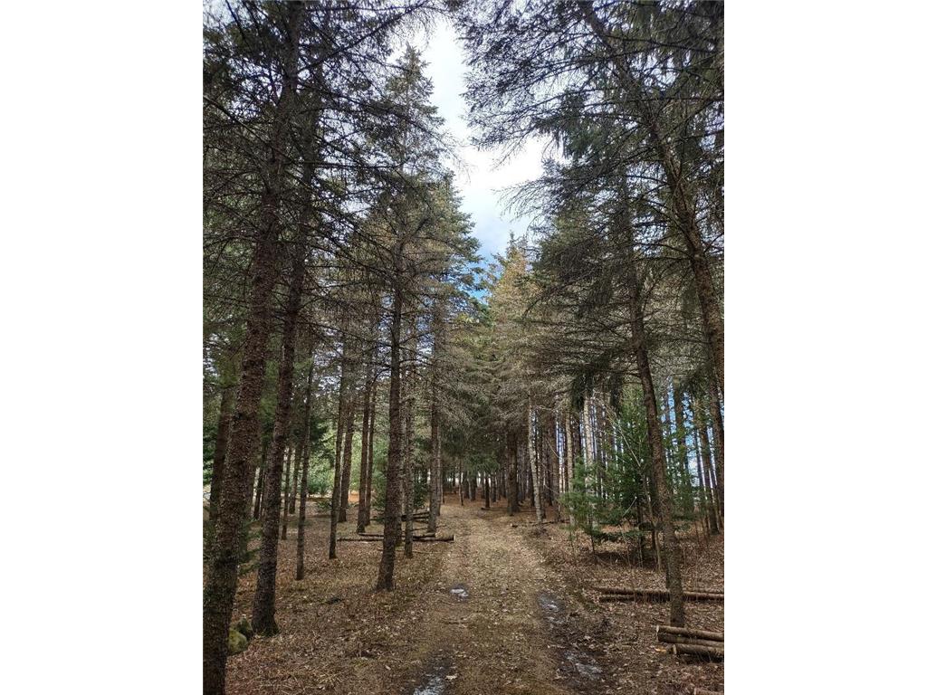 789 29 1/2 Avenue Barronett WI 54813 6686159 image22