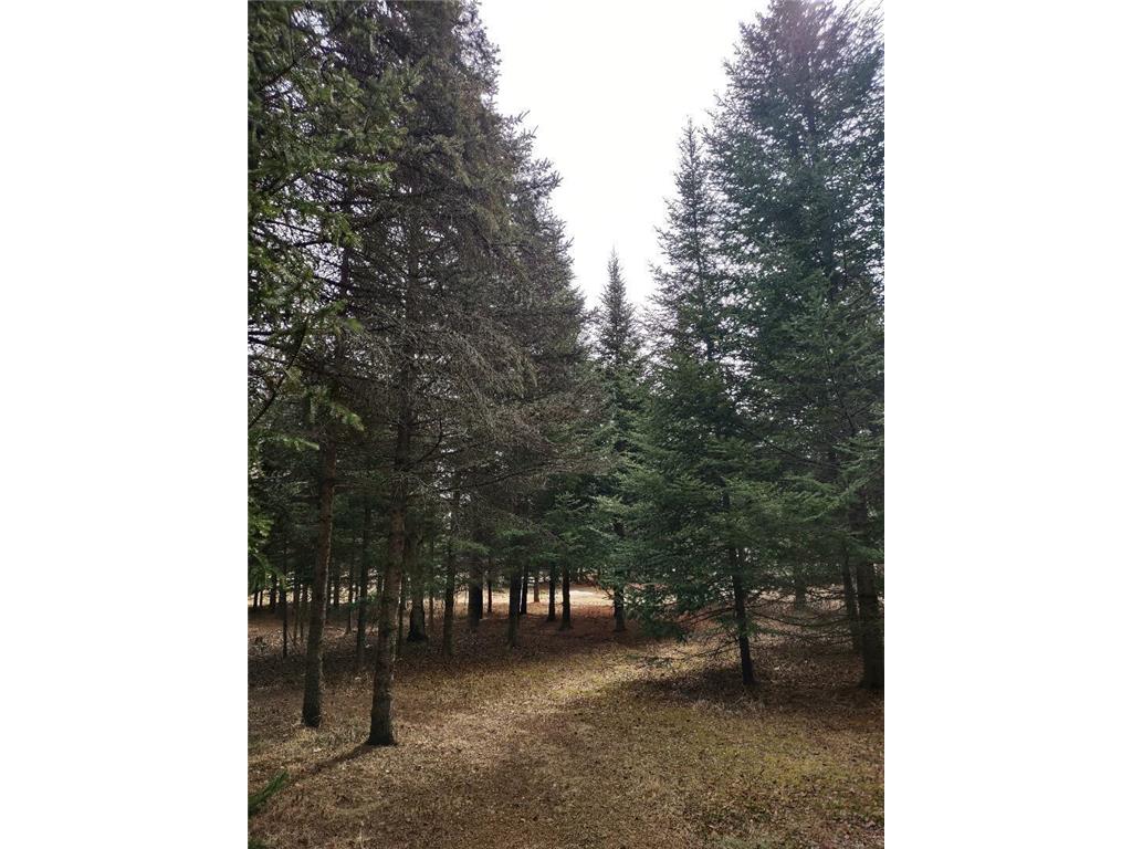 789 29 1/2 Avenue Barronett WI 54813 6686159 image23