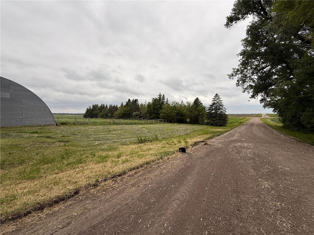 78994 160th Street Sacred Heart MN 56285 6818407 image108