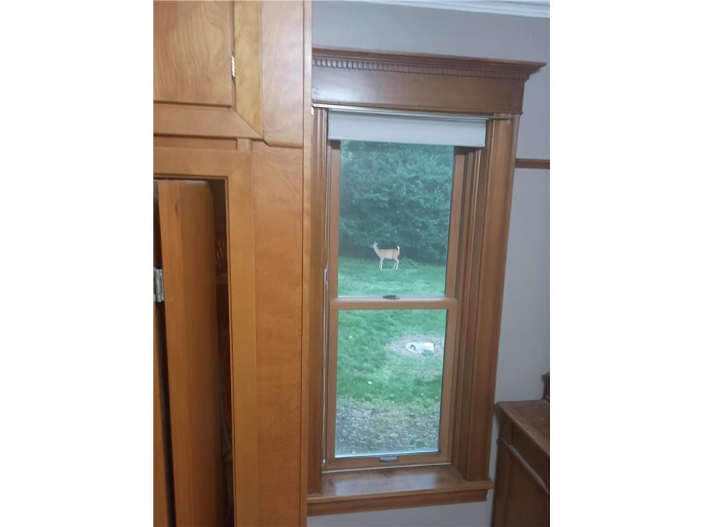 78994 160th Street Sacred Heart MN 56285 6818407 image110