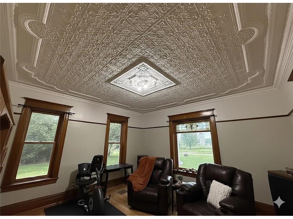 78994 160th Street Sacred Heart MN 56285 6818407 image24