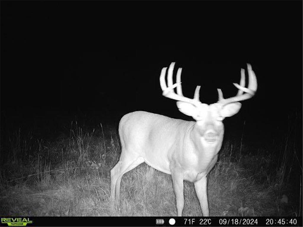 79.61 acres 83rd Ave SW Verndale MN 56481 6702123 image1