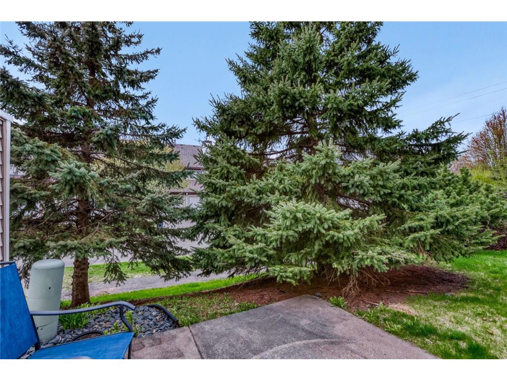 790 County Road F W #66 Shoreview MN 55126 7065756 image24
