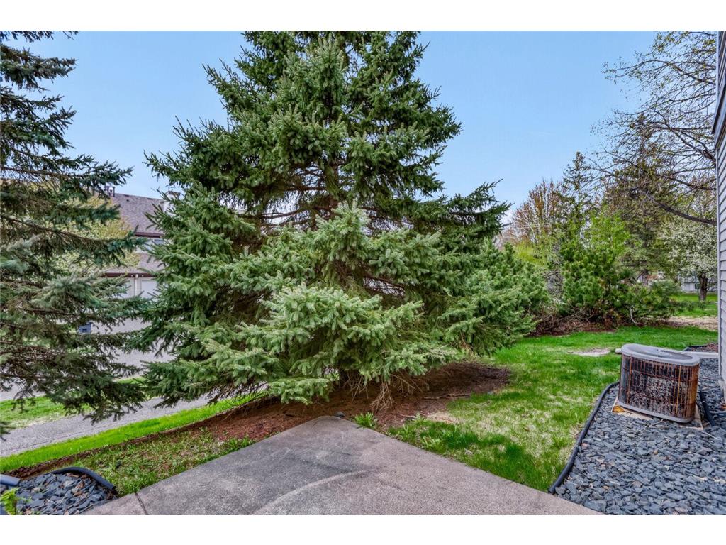 790 County Road F W #66 Shoreview MN 55126 7065756 image25
