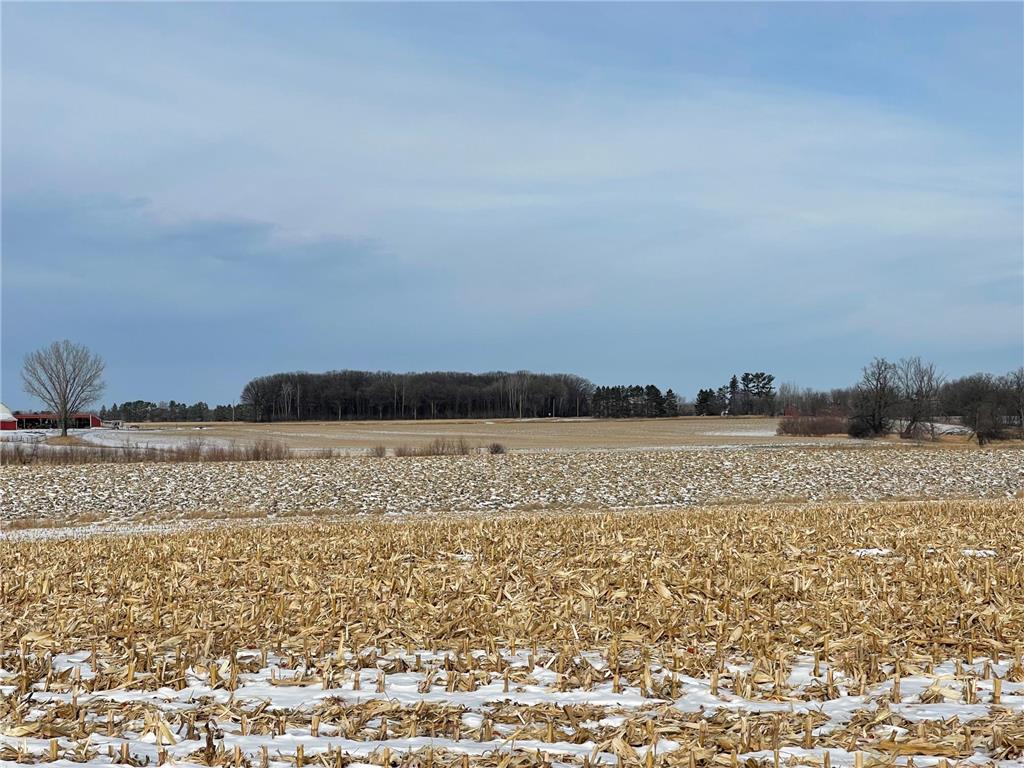 XXX 75th Street, Princeton, MN 55371 MLS 6314119 Edina Realty