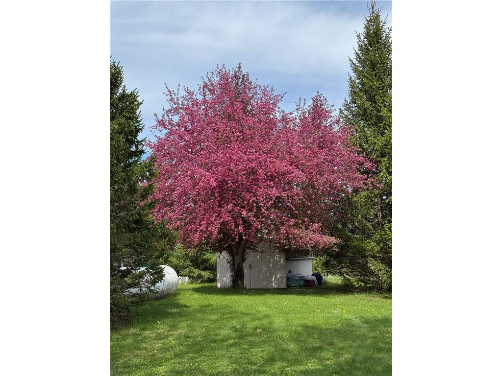 7914 50th Avenue NW Oronoco Twp MN 55960 7035091 image85