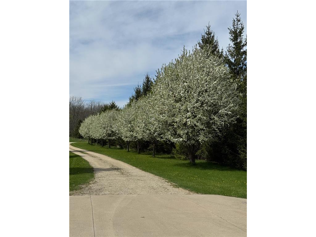 7914 50th Avenue NW Oronoco Twp MN 55960 7035091 image86