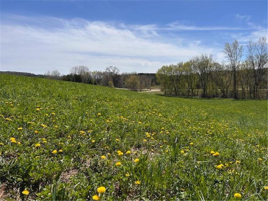 792 140th Avenue Saint Joseph Twp WI 54017 7023315 image38