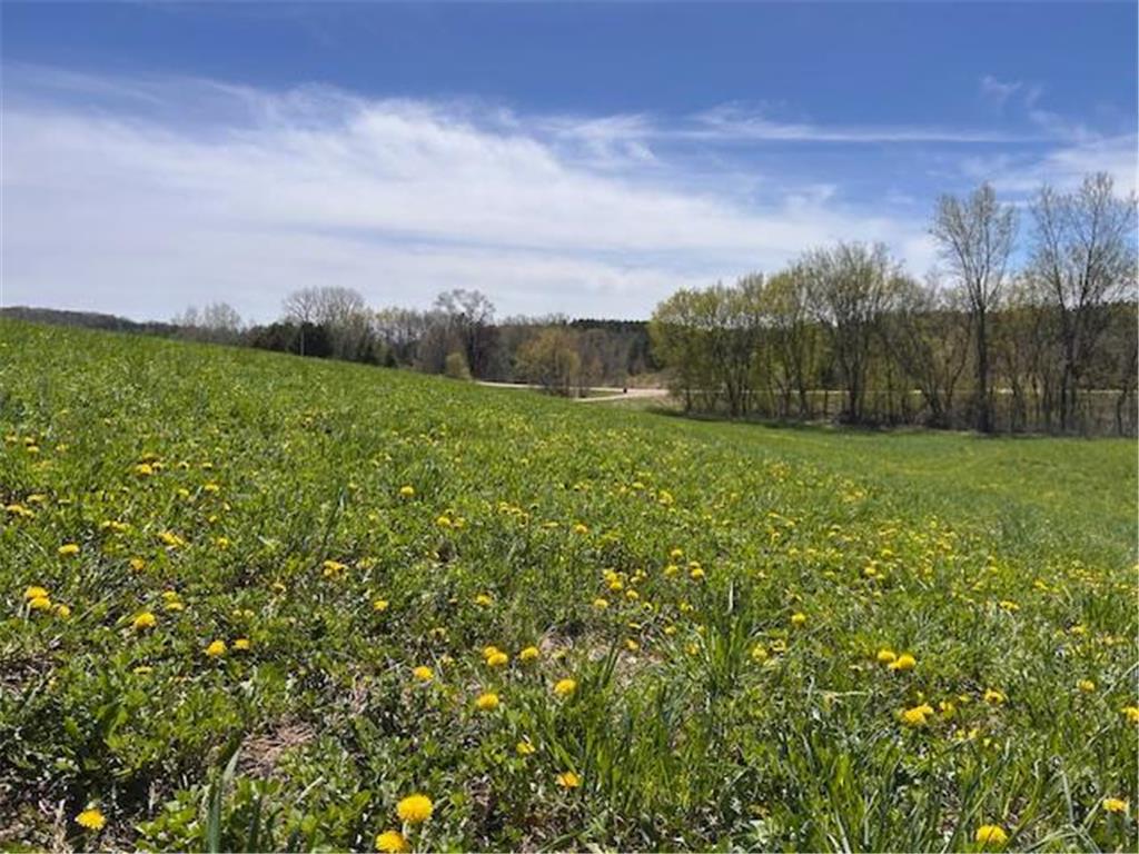 792 140th Avenue Saint Joseph Twp WI 54017 7023315 image39