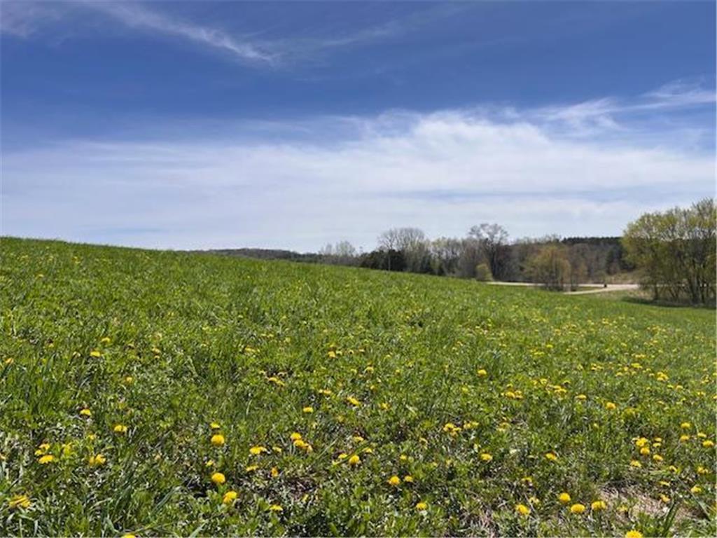 792 140th Avenue Saint Joseph Twp WI 54017 7023315 image40