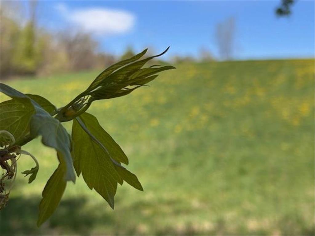 792 140th Avenue Saint Joseph Twp WI 54017 7023315 image51