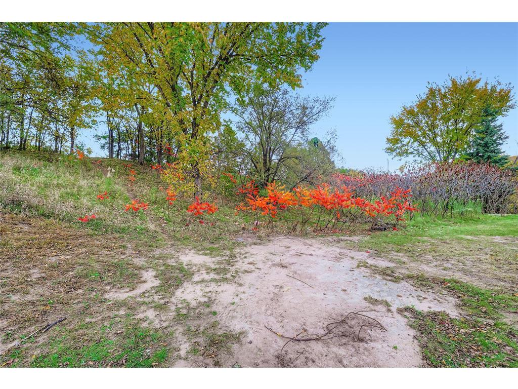 7924 Barbara Avenue Inver Grove Heights MN 55077 6802910 image30