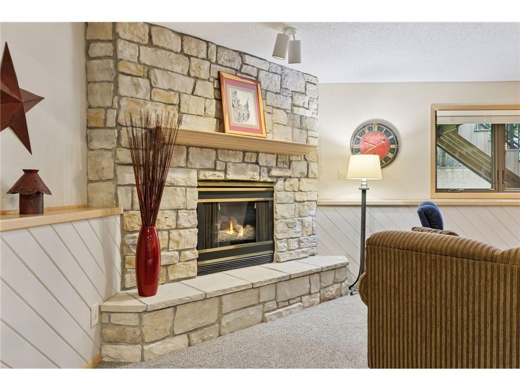 796 Sunset Drive Eagan MN 55123 6815488 image23