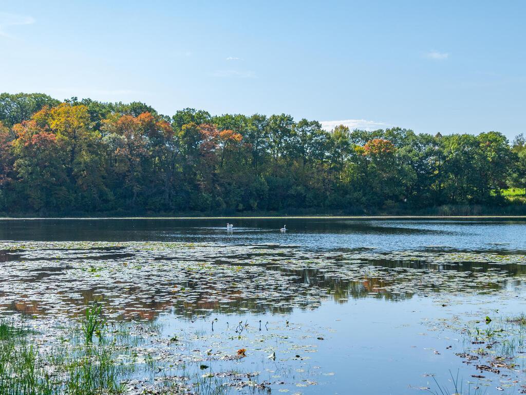 797 Ferndale Road N Wayzata MN 55391 - Lydiard 6442973 image1