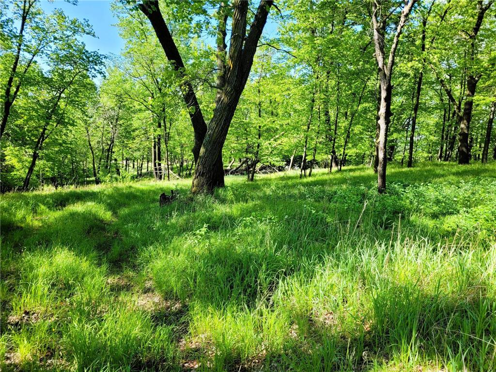 798 S Shore Drive Detroit Lakes MN 56501 - Detroit 6733499 image19