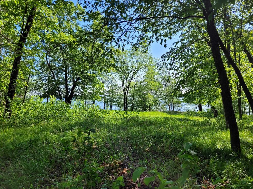 798 S Shore Drive Detroit Lakes MN 56501 - Detroit 6733499 image23