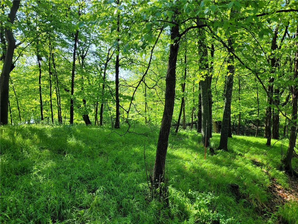 798 S Shore Drive Detroit Lakes MN 56501 - Detroit 6733499 image24