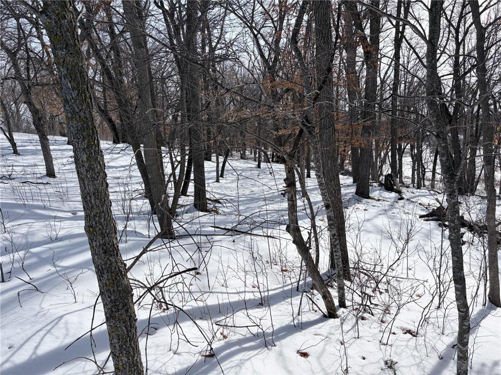 798 S Shore Drive Detroit Lakes MN 56501 - Detroit 7026541 image13