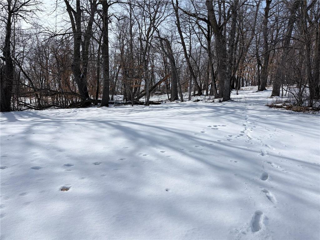 798 S Shore Drive Detroit Lakes MN 56501 - Detroit 7026541 image19