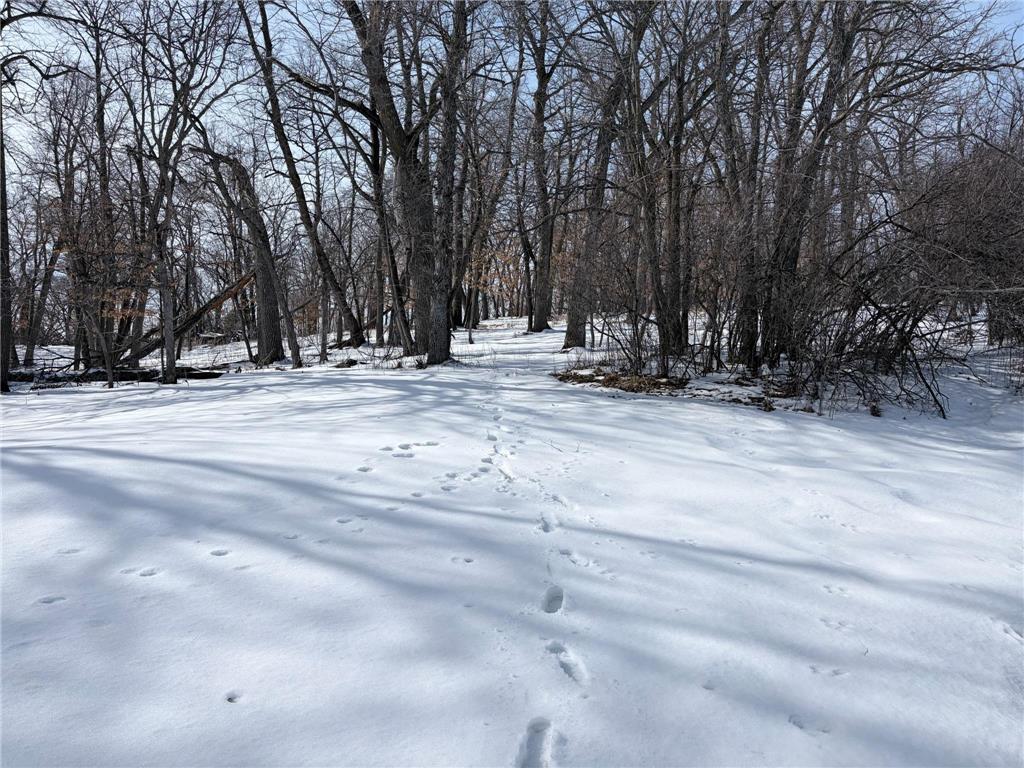 798 S Shore Drive Detroit Lakes MN 56501 - Detroit 7026541 image21