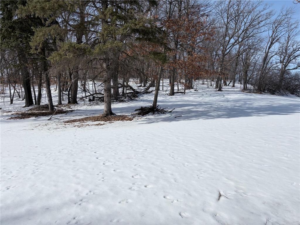 798 S Shore Drive Detroit Lakes MN 56501 - Detroit 7026541 image23