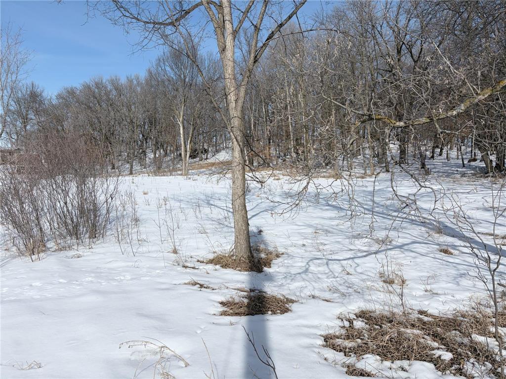 798 S Shore Drive Detroit Lakes MN 56501 - Detroit 7026541 image5